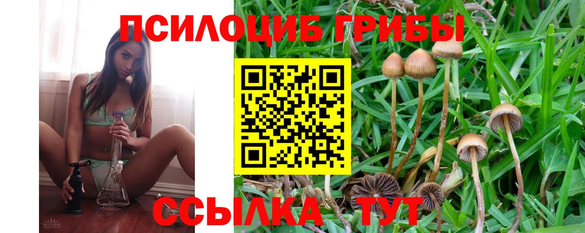Ноябрьск  Галлюциногенные грибы Cubensis  Вход с VPN 